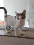 Clara bebê linda