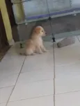 Marley