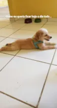 Marley
