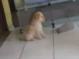 Marley