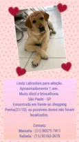 Madalena