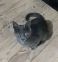 Marley