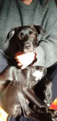 Vader