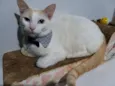 Nicolas