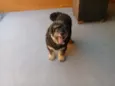 Bob