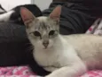 Nina