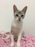 Nina