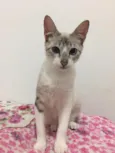 Nina
