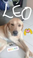 Léo