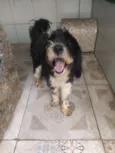 Tom