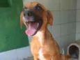Dalila