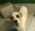 Heloísa
