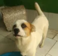 Heloísa