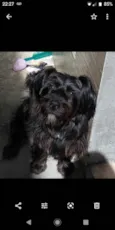 Teddy