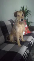 Mel