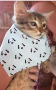 Tito