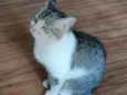 Mia