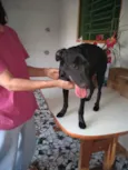 Princesa