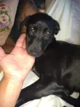 Princesa