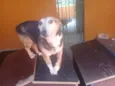 Brenda
