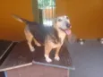 Brenda