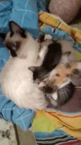 Princesa e príncipe