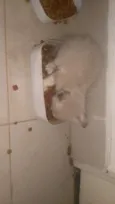 Princesa e príncipe
