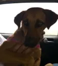 Linda