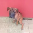 BINGO