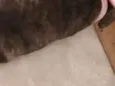 Sem nome ainda