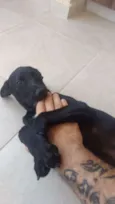 Kiki