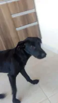 Kiki