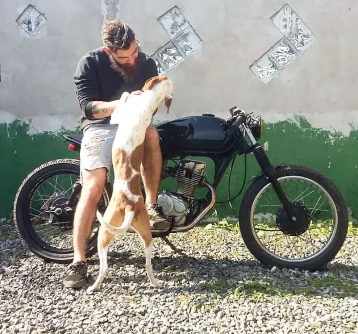 Cachorro ra a Sem raça definida idade 2 anos nome Ben