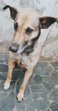 Théo