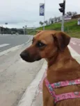 Linda