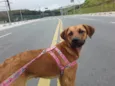 Linda