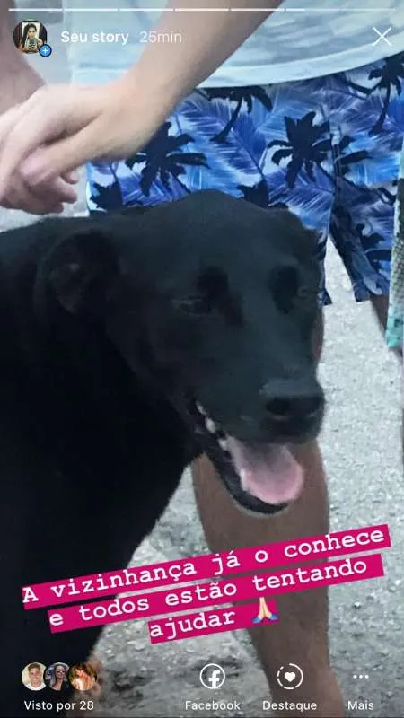 Cachorro ra a  idade 4 anos nome Preto