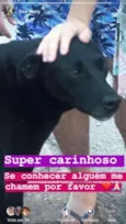 Preto