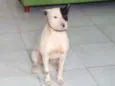 Rossi