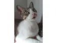 Josephine