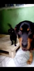 Tata e Bella