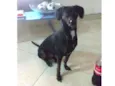 Nina