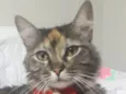 NALA 