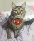 NALA 