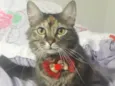 NALA 