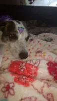 Nina