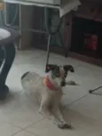 Nina