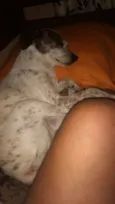 Nina