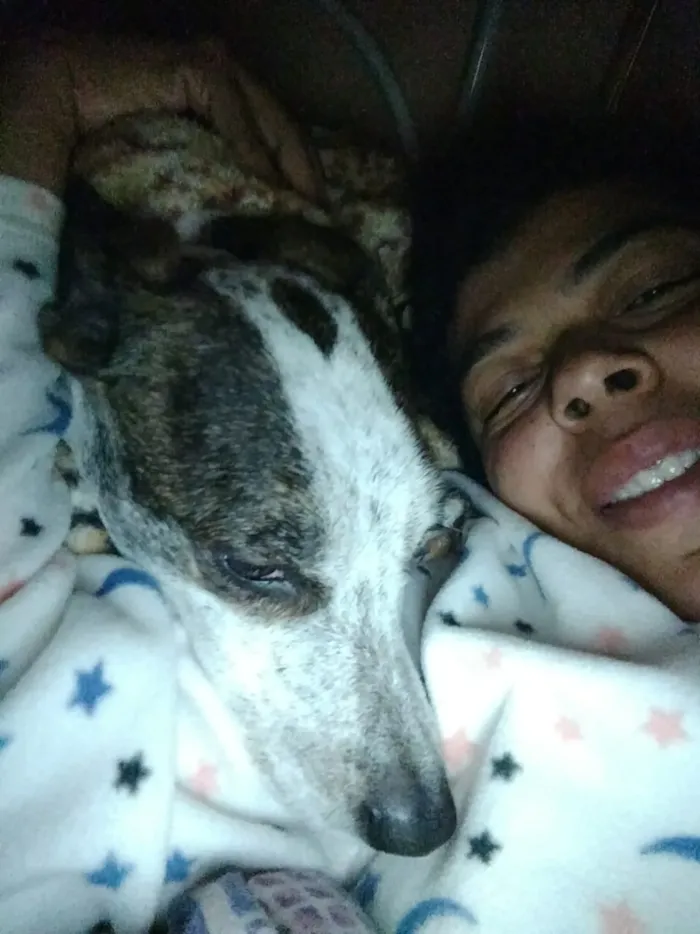 Cachorro ra a Sem raça definida idade 4 anos nome Nina