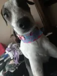 Nina